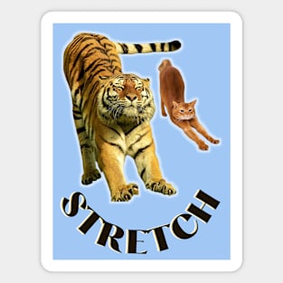 Stretch exercise by a tiger and a cat - black text to Magnet